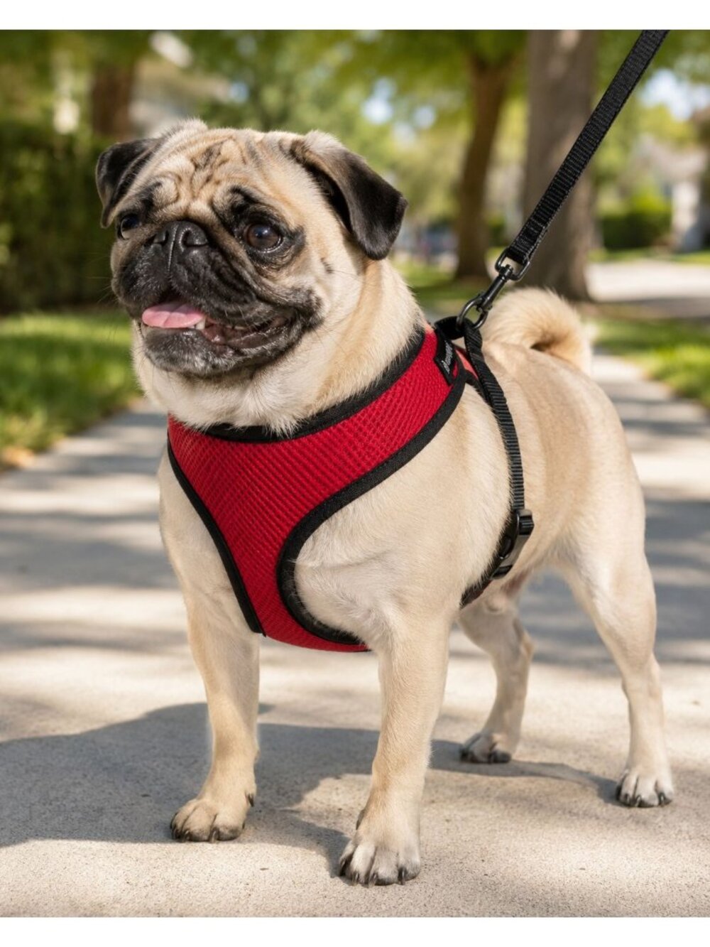 Walk-About Comfort Control Dog Harness Large Red Adjustable Lightweight Mesh Fab